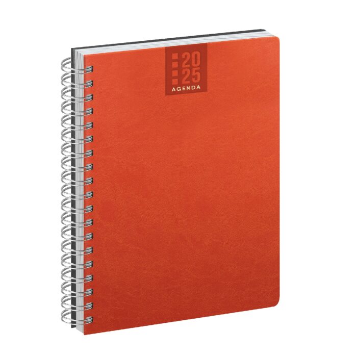 AGENDA GIORNALIERA SPIRALATA CM 15X21 GI9142 - immagine 7