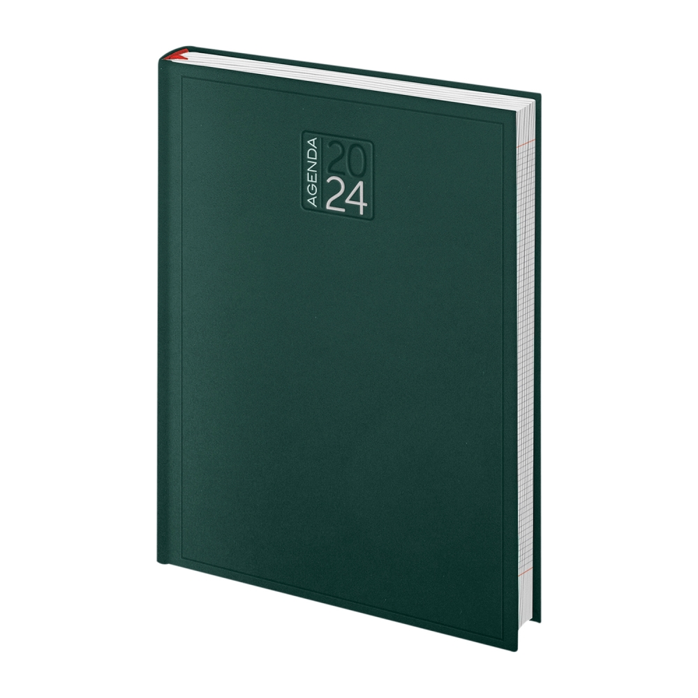 AGENDA GIORNALIERA QUADRETTATA GI9166 CM 15X21