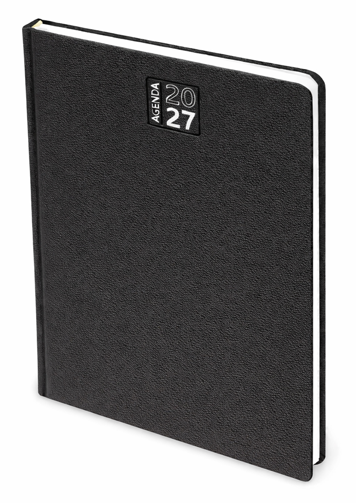 AGENDA IMBOTTITA GIORNALIERA CM 15X21 MPM131 - immagine 11